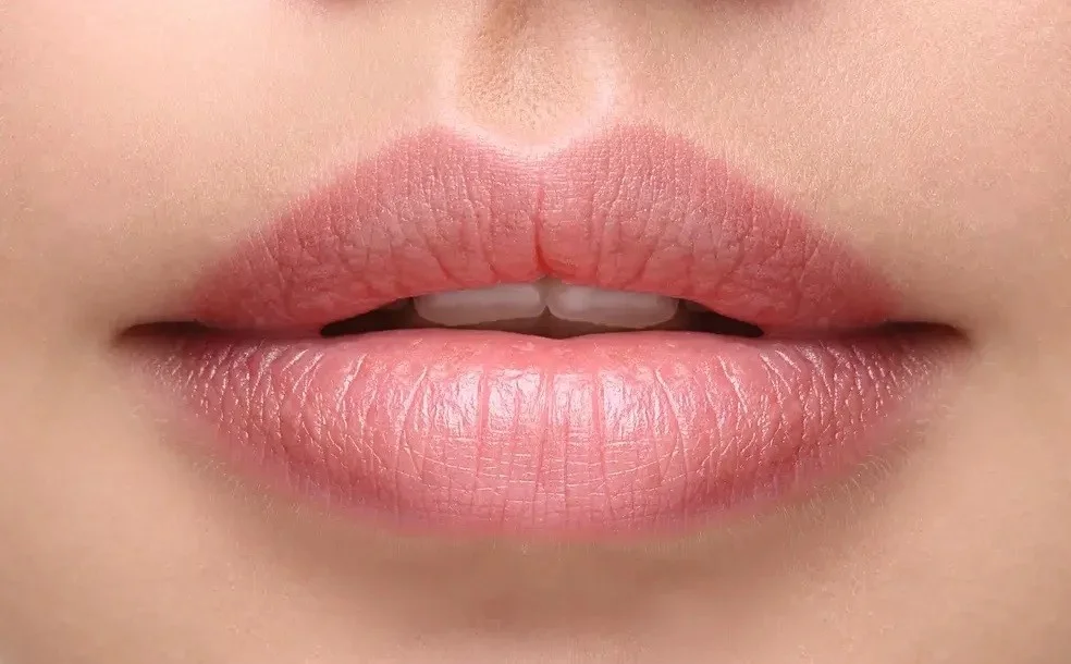 برندهای برتر ژل لب برای مدل قلبی